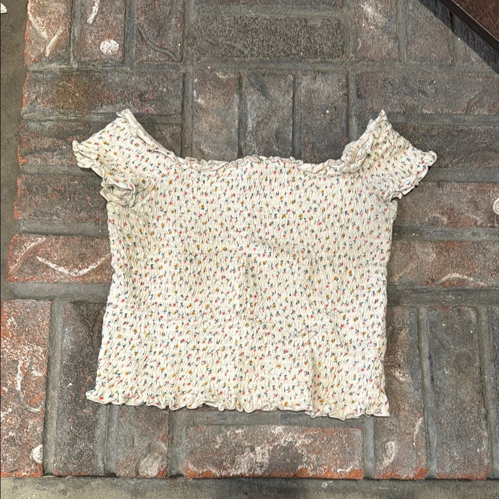 American Eagle Outfitters Cream and Brown Smocked Ruffled Crop Blouse